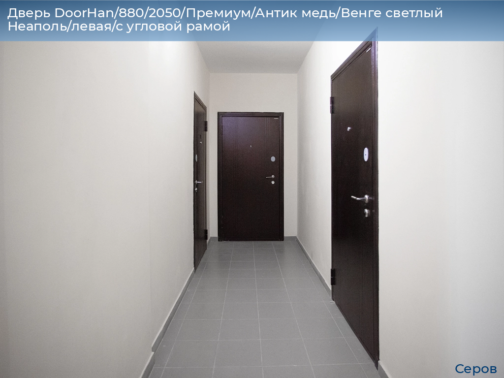 Дверь DoorHan/880/2050/Премиум/Антик медь/Венге светлый Неаполь/левая/с угловой рамой, serov.doorhan.ru