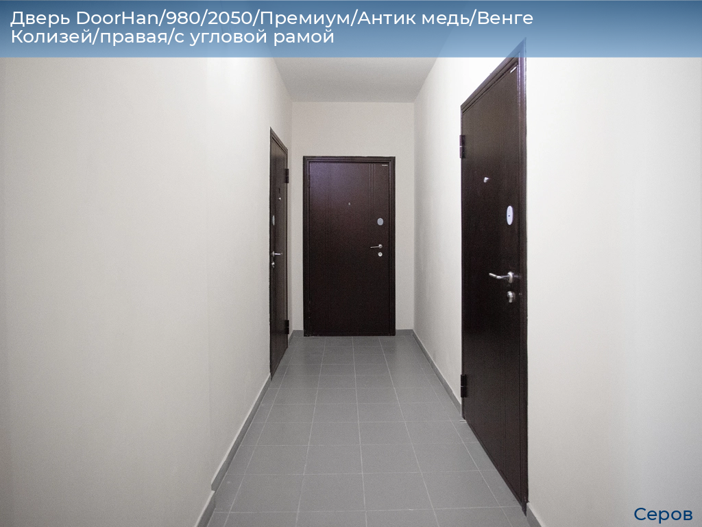 Дверь DoorHan/980/2050/Премиум/Антик медь/Венге Колизей/правая/с угловой рамой, serov.doorhan.ru